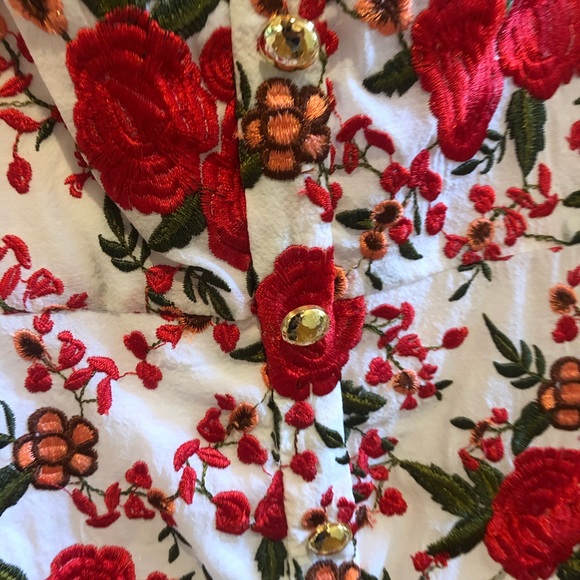 Gorgeous ALEXIS Embroidered Dress - Picture 7 of 10